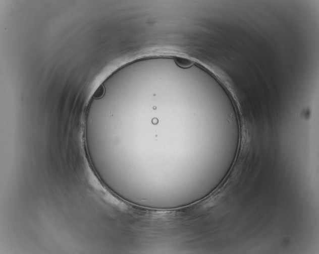 X0000111251390200907091413