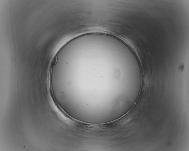 X0000111251391200907091413
