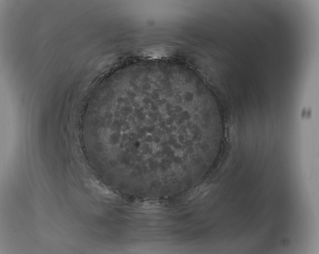 X0000111251393200907091412