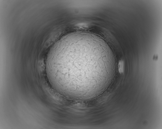 X0000111251395200907091412