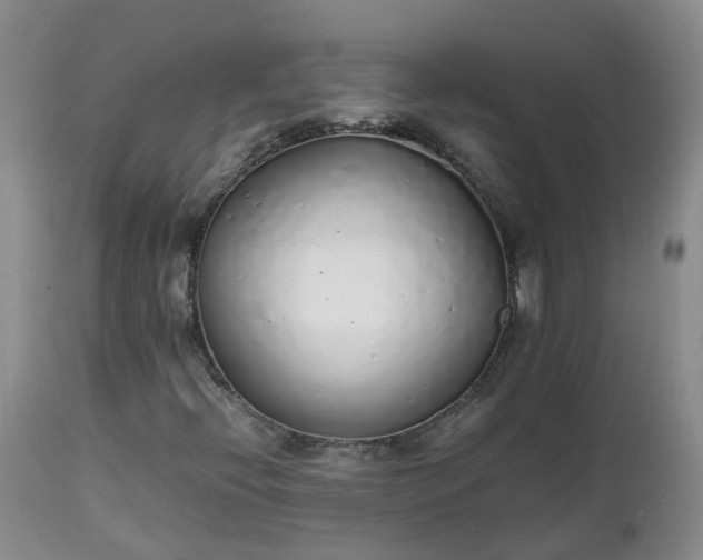 X0000111251396200907091412