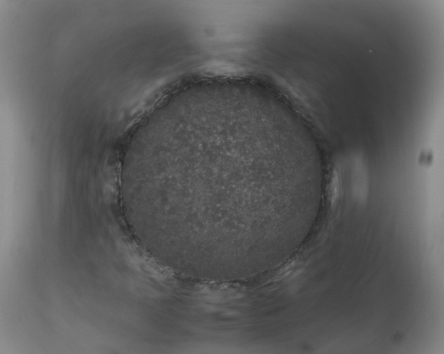 X0000111251397200907091412