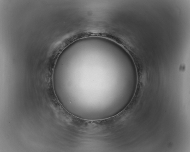 X0000111251398200907091412