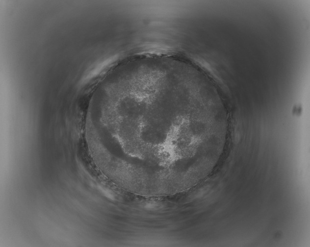 X0000111251399200907091412