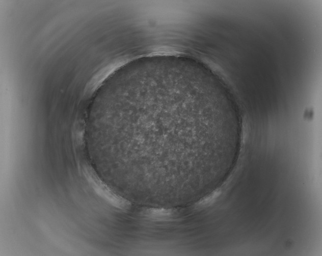 X0000111251401200907091412