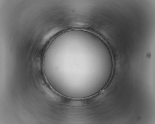 X0000111251402200907091412