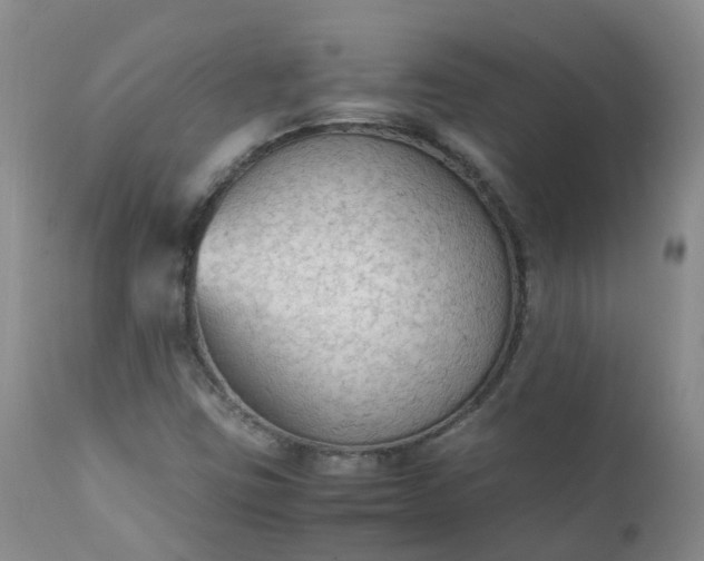 X0000111251403200907091412