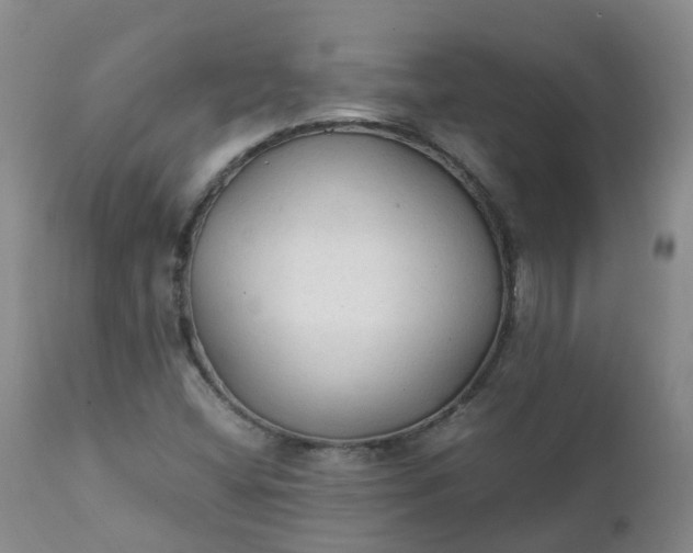 X0000111251404200907091412