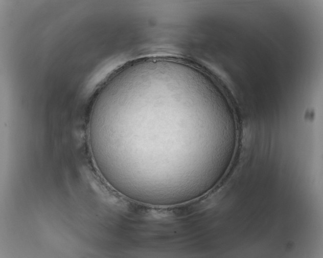 X0000111251407200907091412