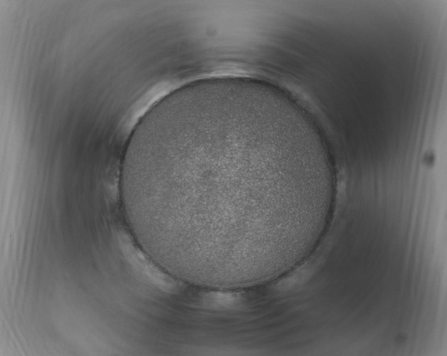 X0000111251409200907091412