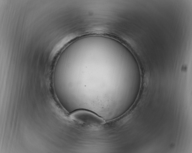 X0000111251410200907091412