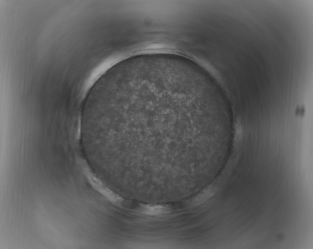 X0000111251413200907091412