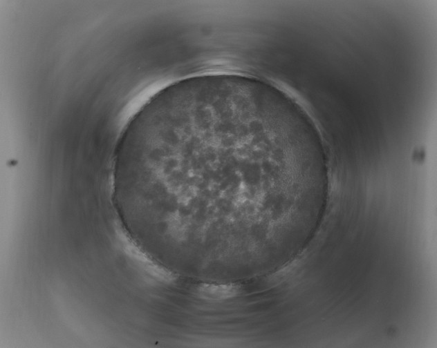 X0000111251415200907091412