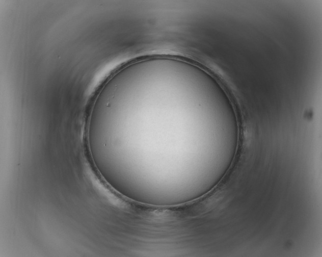 X0000111251416200907091412