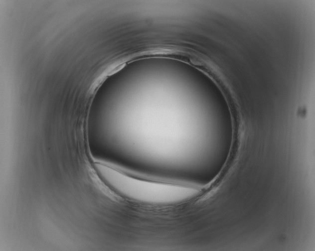 X0000111251417200907091412