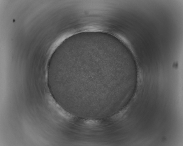 X0000111251419200907091412