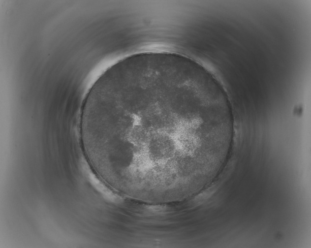 X0000111251421200907091412