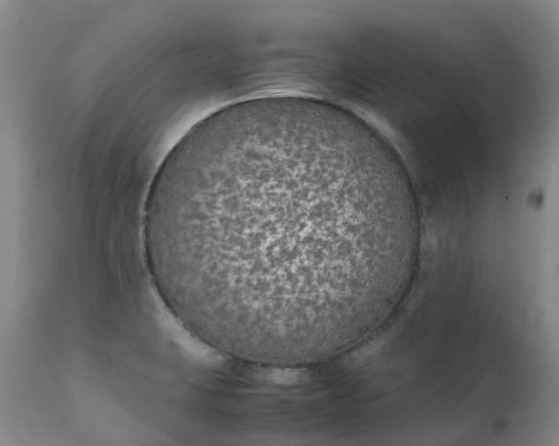 X0000111251423200907091412