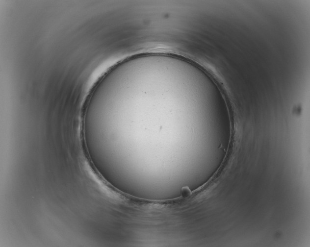 X0000111251424200907091412