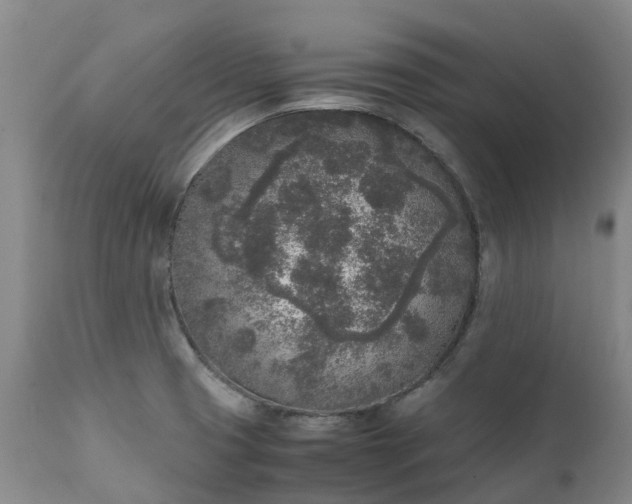 X0000111251425200907091412