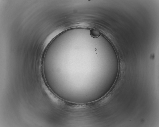 X0000111251426200907091412