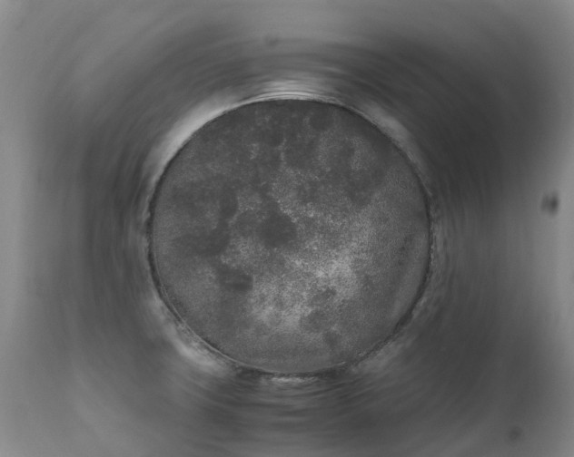 X0000111251427200907091412