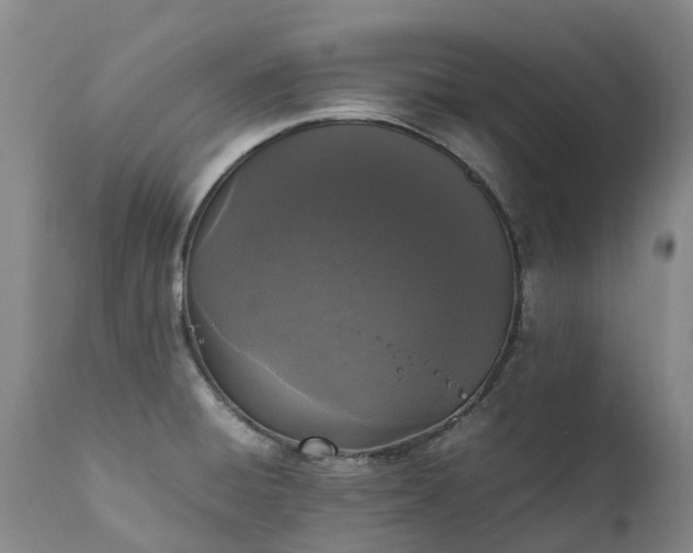 X0000111251428200907091412