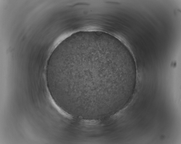X0000111251429200907091412
