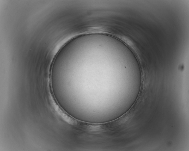 X0000111251431200907091412