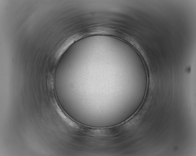 X0000111251433200907091412