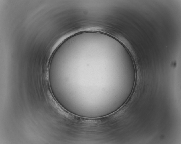 X0000111251436200907091412
