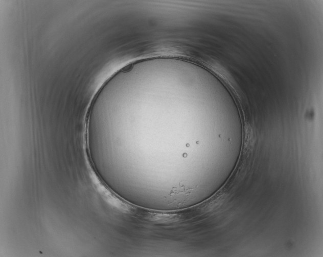 X0000111251439200907091413