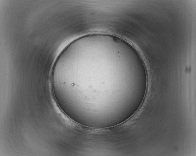X0000111251440200907091413
