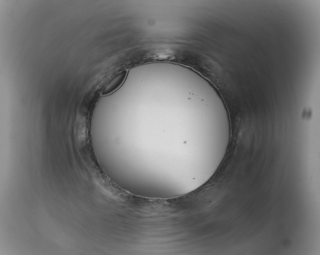 X0000111251442200907091412