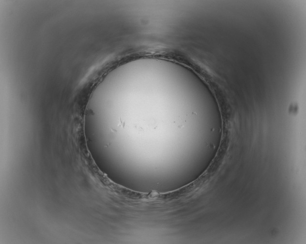 X0000111251447200907091412