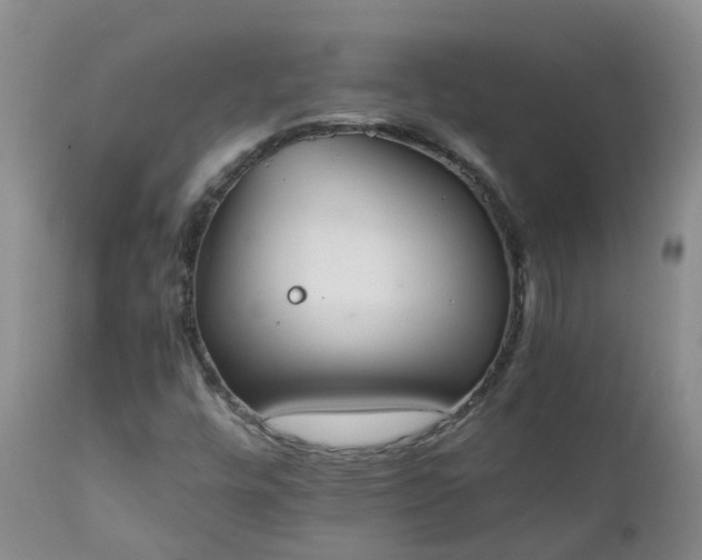 X0000111251448200907091412