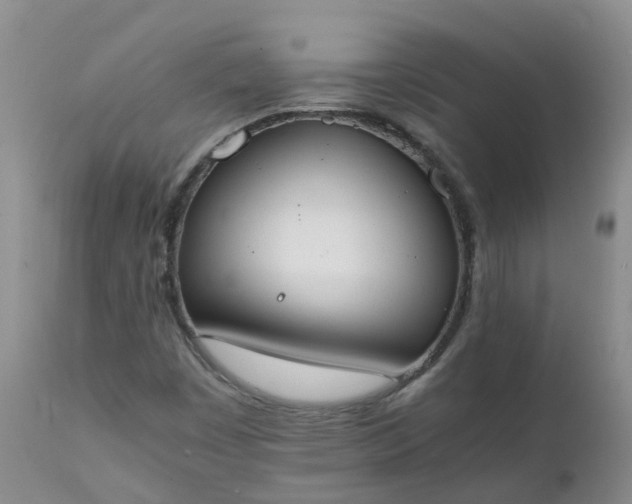 X0000111251449200907091412