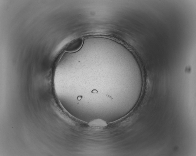 X0000111251450200907091412