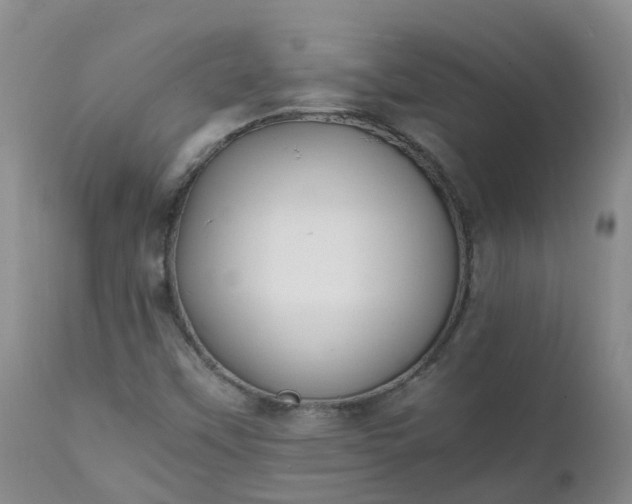 X0000111251451200907091412