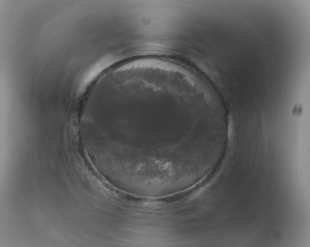 X0000111251453200907091412