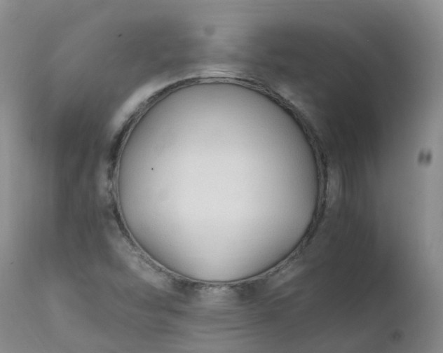 X0000111251454200907091412