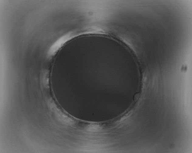 X0000111251455200907091412