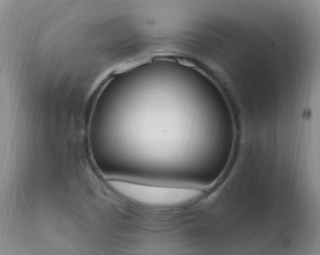 X0000111251457200907091412