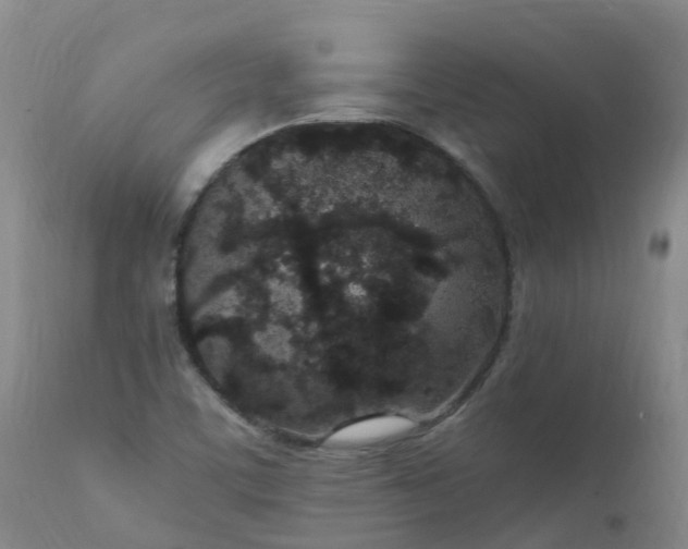 X0000111251459200907091412
