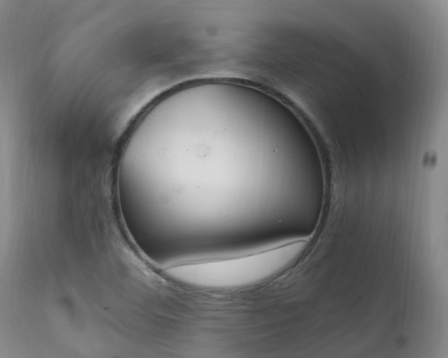 X0000111251460200907091412