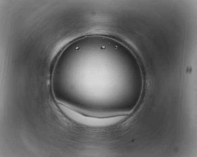 X0000111251461200907091412