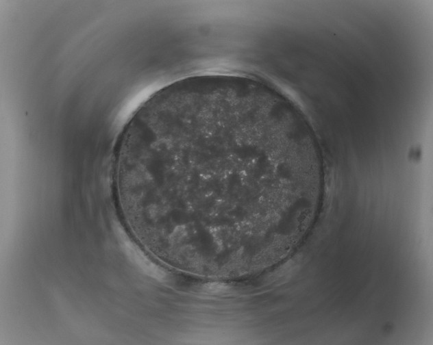 X0000111251463200907091412