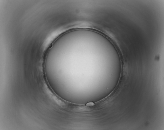 X0000111251464200907091412
