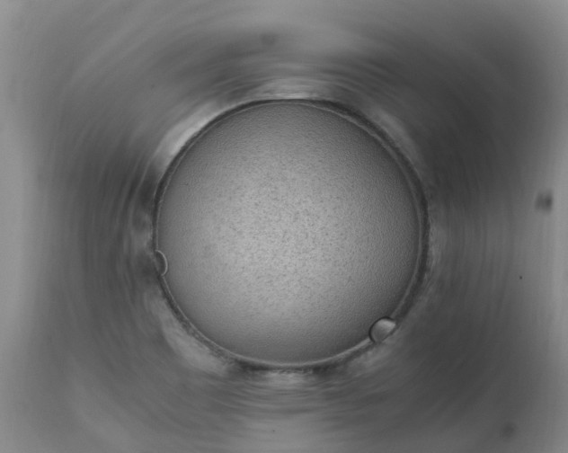X0000111251465200907091412