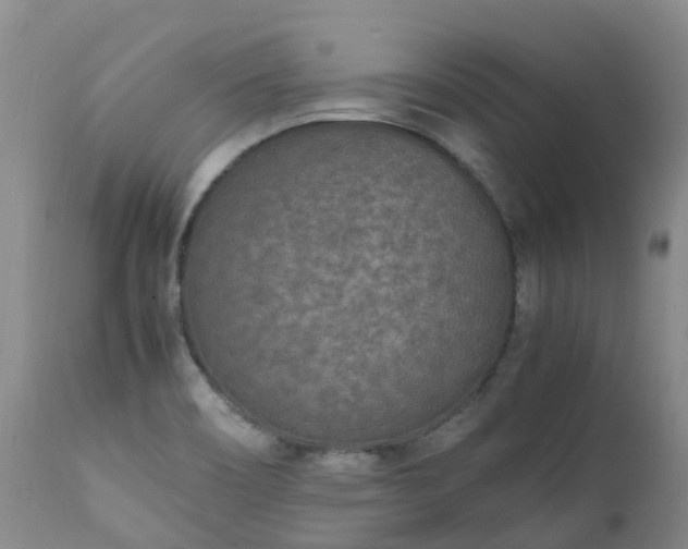 X0000111251466200907091412